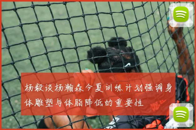 杨毅谈杨瀚森今夏训练计划强调身体雕塑与体脂降低的重要性